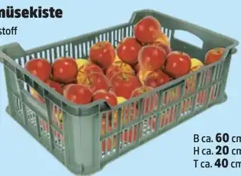 Thomas Philipps Obst-Gemüsekiste Angebot