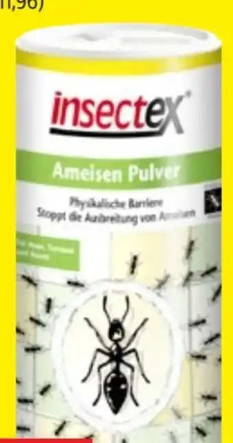 Thomas Philipps InsectEx Ameisen Pulver Angebot
