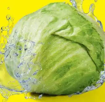Lidl Eisbergsalat Angebot