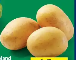 Lidl Bio Speisefrühkartoffeln Angebot