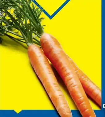 Lidl Möhren mit Grün Angebot