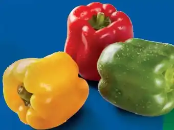 Lidl Paprika Mix Angebot