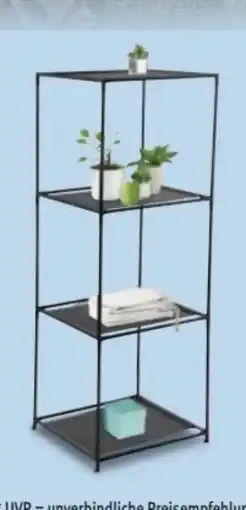 Trends Möbel Regalserie Milot Angebot