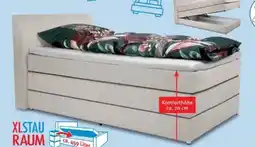Trends Möbel Boxspringbett Kamaria Angebot