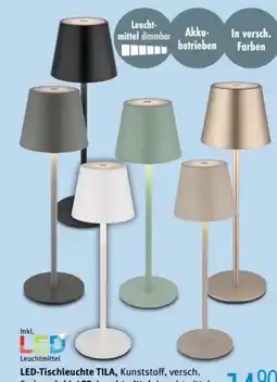Trends Möbel LED-Tischleuchte Tila Angebot