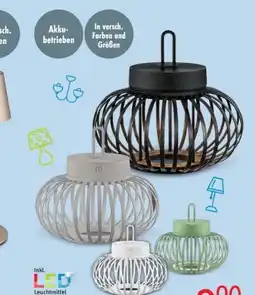 Trends Möbel LED-Pendelleuchte Akuba Angebot