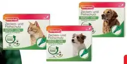 Das Futterhaus Beaphar Zecken-Flohschutz Spot On Angebot