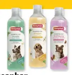 Das Futterhaus Beaphar Hundeshampoo Angebot