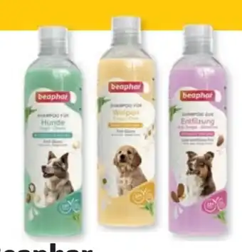 Das Futterhaus Beaphar Hundeshampoo Angebot