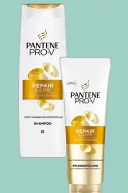 Rossmann Pantene Pro-V Repair & Care Shampoo Angebot