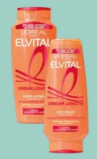 Rossmann L'Oréal Paris Elvital Shampoo Dream Length Angebot
