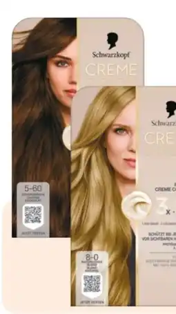 Rossmann Schwarzkopf Creme Supreme Coloration Angebot