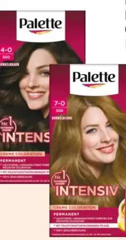 Rossmann Poly Palette Intensiv Creme Coloration Angebot
