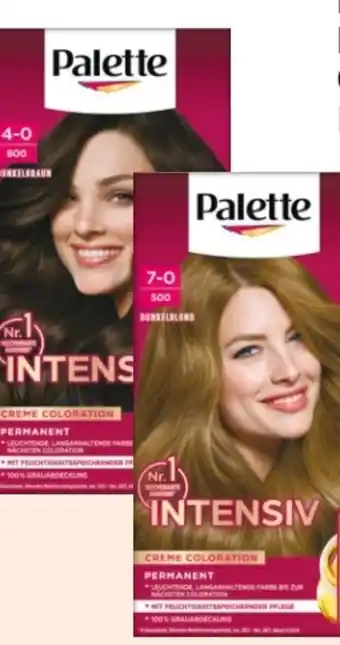 Rossmann Poly Palette Intensiv Creme Coloration Angebot