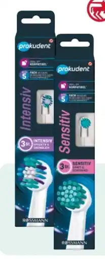Rossmann Prokudent Aufsteckzahnbürste Universal Angebot