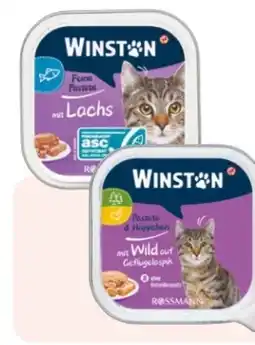 Rossmann Winston Katze Feine Pastete & Häppchen Angebot