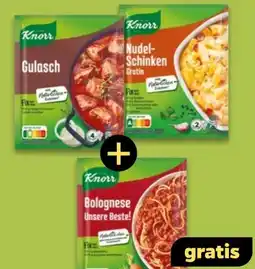 NETTO Knorr Fix Gulasch Angebot
