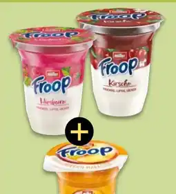 NETTO Müller Froop Joghurt Angebot