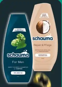 NETTO Schwarzkopf Schauma For Men Shampoo Angebot