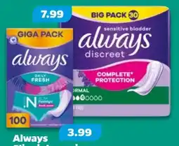 NETTO Always Slipeinlagen Gigapack Angebot