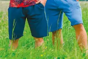 NETTO Herren Sweat-Bermudas Angebot