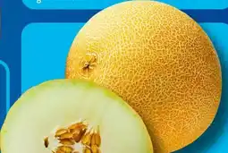 Aldi Süd Galiamelone Angebot