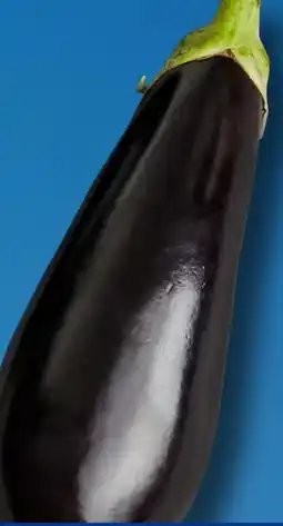 Aldi Süd Aubergine Angebot