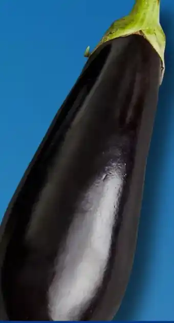 Aldi Süd Aubergine Angebot