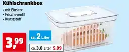 Thomas Philipps Kühlschrankbox ca. 2 liter Angebot