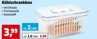 Thomas Philipps Kühlschrankbox ca. 2 liter Angebot