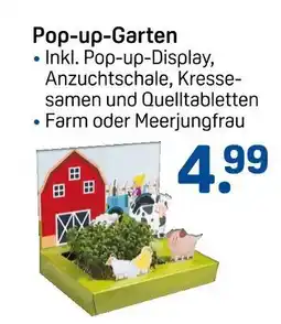 Rossmann Pop-up-garten farm Angebot