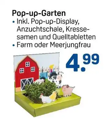 Rossmann Pop-up-garten farm Angebot