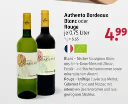 Rossmann Authenta bordeaux blanc Angebot