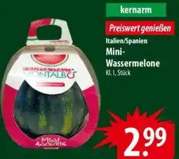 Famila Nord Ost Italien/Spanien Mini-Wassermelone Angebot