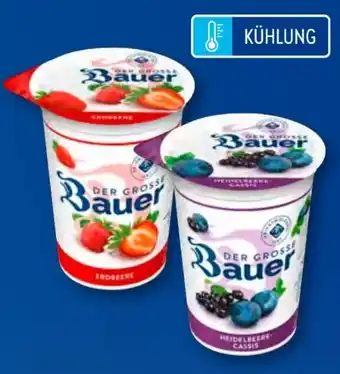 Aldi Süd Bauer Der Große Angebot