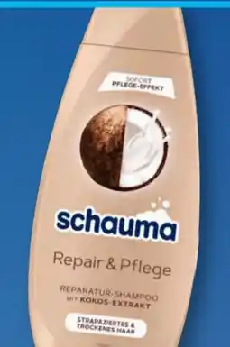 Aldi Süd Schwarzkopf Schauma Shampoo Angebot