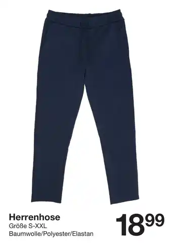 Zeeman Herrenhose Angebot