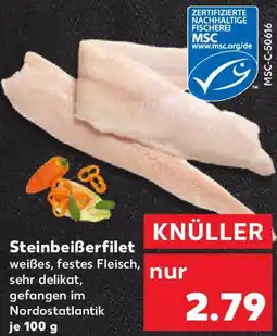 Kaufland Steinbeiẞerfilet Angebot