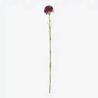 NKD Kunst-Flockenblume, Länge ca. 56cm Angebot