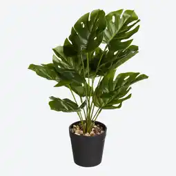 NKD Künstliche Blume im Topf, ca. 35cm Angebot