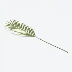 NKD Kunstblume Palmenblatt, ca. 63cm Angebot