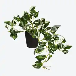 NKD Kunstblume im Topf, Gesamtlänge ca. 35cm Angebot