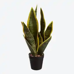 NKD Kunstpflanze im Topf, Gesamthöhe ca. 37,5cm Angebot