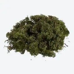 NKD Island-Moos, ca. 50g Angebot
