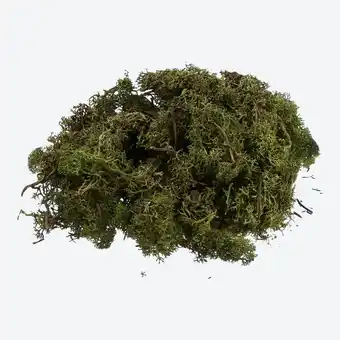 NKD Island-Moos, ca. 50g Angebot