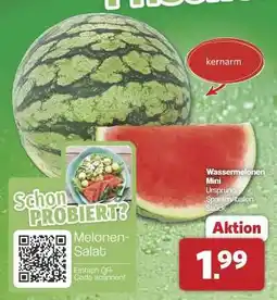 Famila Nord Ost Wassermelonen Mini Angebot