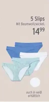 Famila Nord Ost 5 Slips Angebot