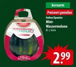 Famila Nord Ost Mini- Wassermelone Angebot