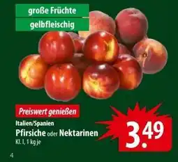 Famila Nord Ost Pfirsiche oder Nektarinen Angebot