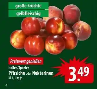 Famila Nord Ost Pfirsiche oder Nektarinen Angebot